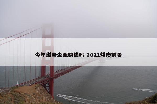 今年煤炭企业赚钱吗 2021煤炭前景