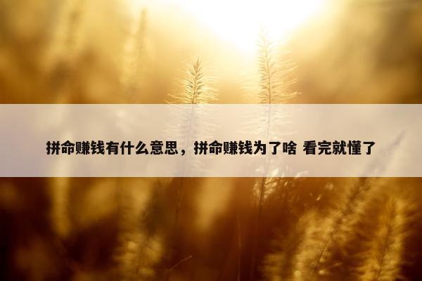 拼命赚钱有什么意思，拼命赚钱为了啥 看完就懂了