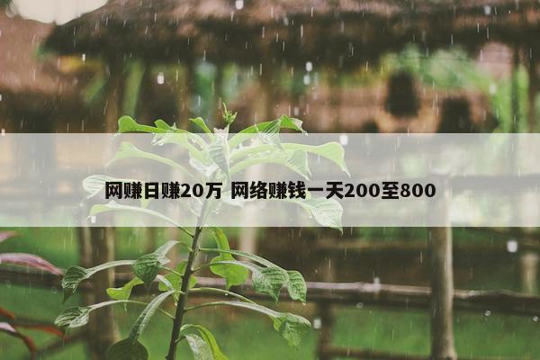 网赚日赚20万 网络赚钱一天200至800