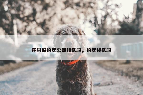 在县城拍卖公司赚钱吗，拍卖挣钱吗