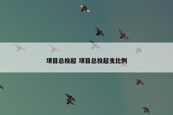 项目总投超 项目总投超支比例