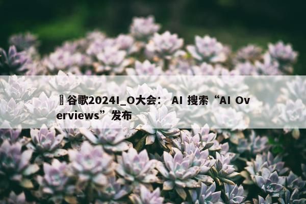 ​谷歌2024I_O大会： AI 搜索“AI Overviews”发布