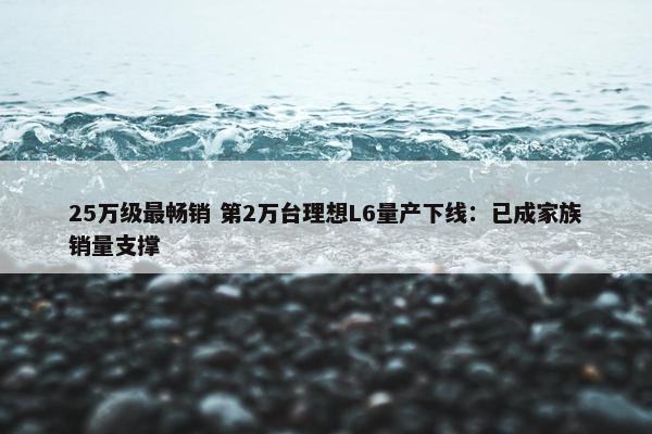 25万级最畅销 第2万台理想L6量产下线：已成家族销量支撑