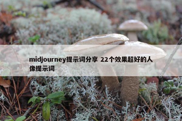 midjourney提示词分享 22个效果超好的人像提示词