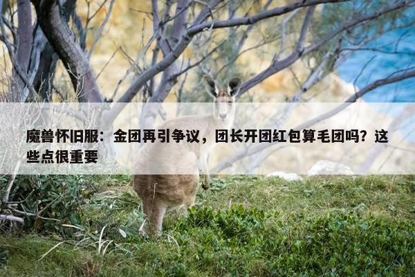 魔兽怀旧服：金团再引争议，团长开团红包算毛团吗？这些点很重要