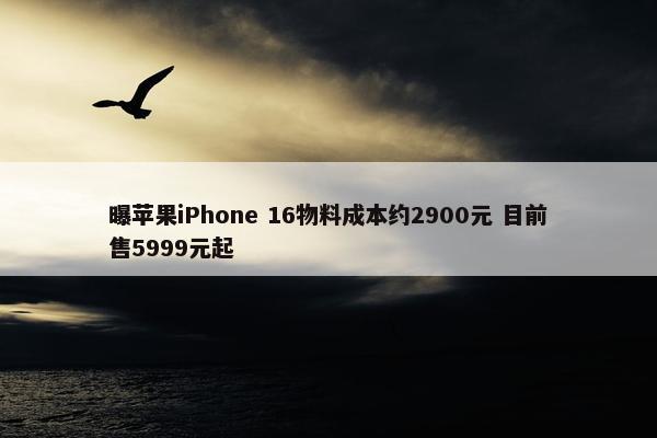 曝苹果iPhone 16物料成本约2900元 目前售5999元起