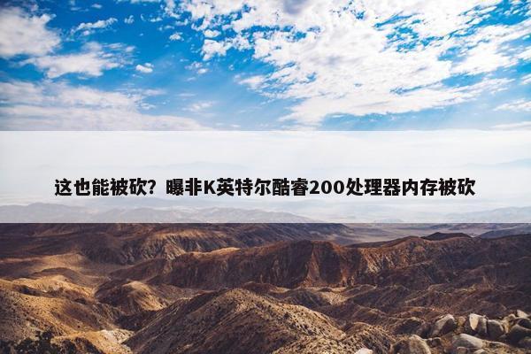 这也能被砍？曝非K英特尔酷睿200处理器内存被砍