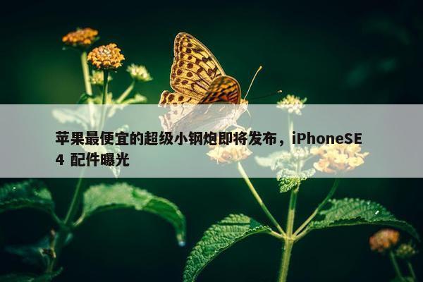 苹果最便宜的超级小钢炮即将发布，iPhoneSE 4 配件曝光