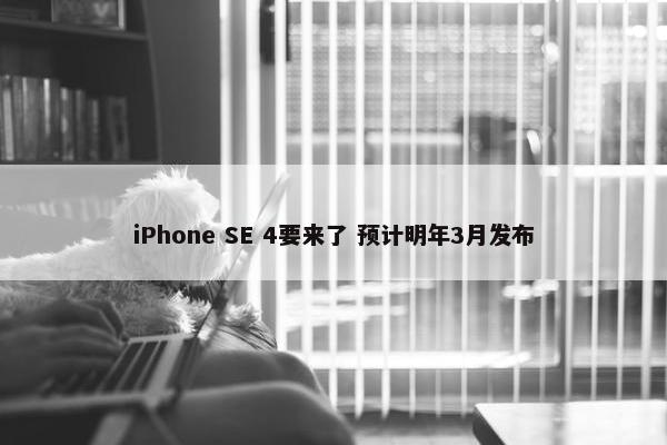 iPhone SE 4要来了 预计明年3月发布