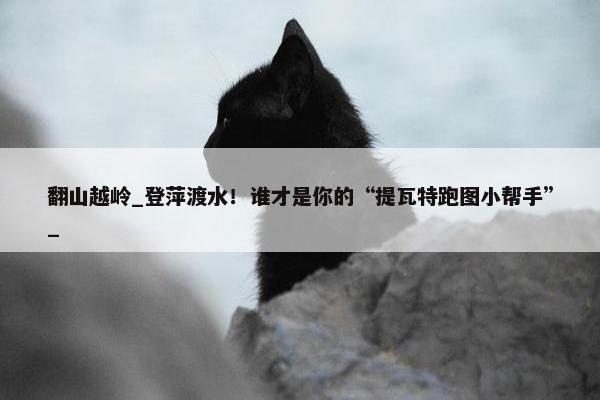 翻山越岭_登萍渡水！谁才是你的“提瓦特跑图小帮手”_