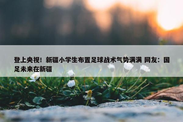 登上央视！新疆小学生布置足球战术气势满满 网友：国足未来在新疆