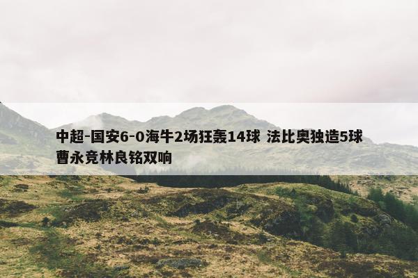 中超-国安6-0海牛2场狂轰14球 法比奥独造5球曹永竞林良铭双响