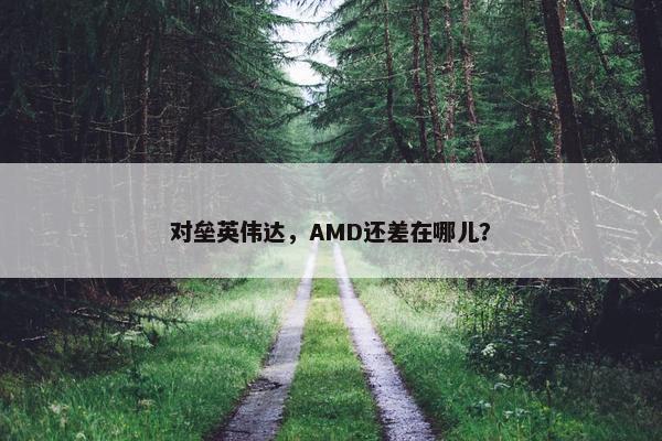 对垒英伟达，AMD还差在哪儿？