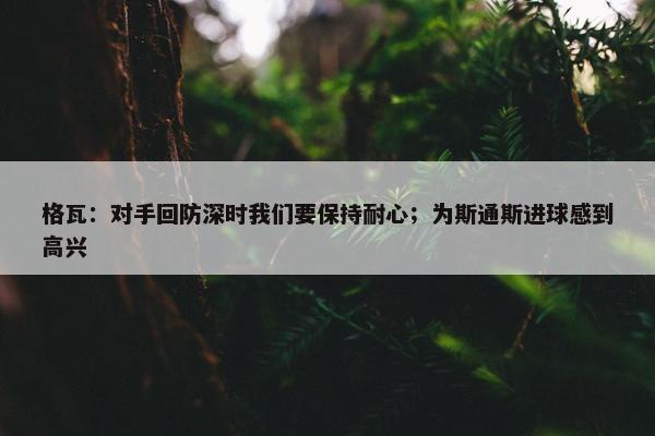 格瓦：对手回防深时我们要保持耐心；为斯通斯进球感到高兴