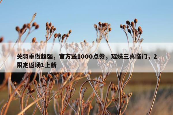 关羽重做超强，官方送1000点券，瑶妹三喜临门，2限定返场1上新